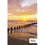 Zatemňující roleta FAKRO ARF, barva P03 – s potiskem P03