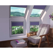 Fasádní plastové okno (pravé) FAKRO GREENVIEW PRP P50 ABMX
