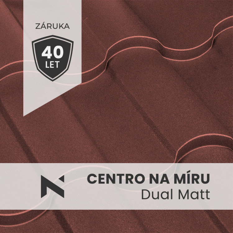 CENTRO AM Dual Matt roof tiles