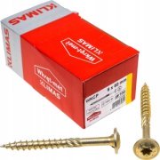 Vrut konstrukční  s talířovou hlavou TX 6X60 (100ks/bal.)