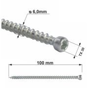 Vrut konstrukční celý závit s válcovou hlavou. TX 6X100 (100ks/bal.)