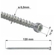 Vrut konstrukční celý závit s válcovou hlavou. TX 6X120 (100ks/bal.)