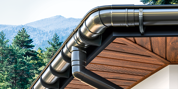 Bryza rýny a podbití